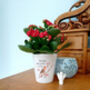 Robin Memorial Plant Pot. Personalised Flowerpot, thumbnail 2 of 5