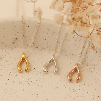 Wishbone Sterling Silver Necklace, 2 of 12