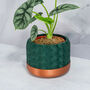 Forest Hexa Planter, thumbnail 2 of 4