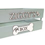 Large Coloured Dog Toy Storage Box With Raised Design, thumbnail 2 of 7