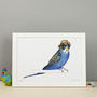 Budgie In A Trilby Unframed Print, thumbnail 1 of 3