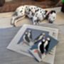 Puffins Glasses Case Tapestry Kit 100% British Wool, thumbnail 4 of 4