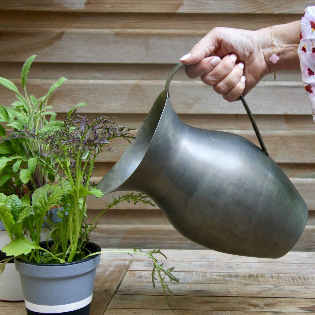 Zinc Pitcher Vase By London Garden Trading