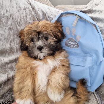 Personalised Embroidered Blue Doggy Backpack, 2 of 7