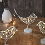 White Wire Sparkle And Shine Robin LED Decoration, thumbnail 1 of 4