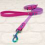 Waterproof Dog Collar And Lead Set Amethyst/Pink Berry, thumbnail 1 of 3