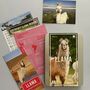 Adopt A Llama Gift Tin, thumbnail 1 of 4