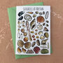 Seashells Of Britain Art Blank Greeting Card, thumbnail 6 of 12
