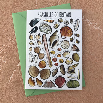 Seashells Of Britain Art Blank Greeting Card, 6 of 12