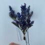 Dried Lavender Flower Hair Pins, thumbnail 5 of 8
