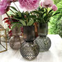 Dornia Smokey Brown Handblown Glass Vase, thumbnail 1 of 4