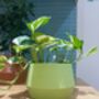 3D Printed Angled Plant Pot – Stylish And Sustainable, thumbnail 7 of 12