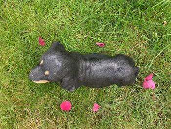 Dachshund Garden Ornament With Green Boots Sausage Dog, 5 of 9