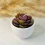 Succulent Candles In White Ceramic Pots, thumbnail 7 of 10