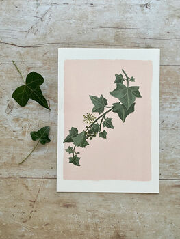 Ivy Botanical Print, 4 of 6