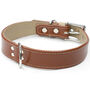 Double Trouble Wide Leather Dog Collar, thumbnail 1 of 8