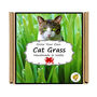 Gardening Gift. Cat Grass Growing Kit, thumbnail 5 of 5