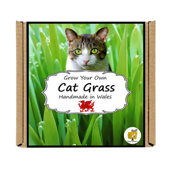 Gardening Gift. Cat Grass Growing Kit, 5 of 5