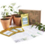 Three Month Tropical Houseplant Seed Subscription Box, thumbnail 2 of 6