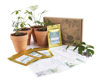 Three Month Tropical Houseplant Seed Subscription Box, 2 of 6