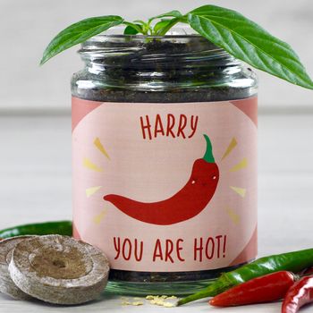 Personalised Hot Chilli Jar Grow Kit, 2 of 12