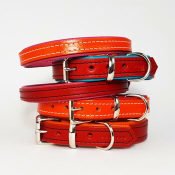 Padded Leather Dog Collar, 2 of 9