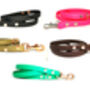 Biothane Dog Collar Or Lead Optional Fittings, thumbnail 5 of 7