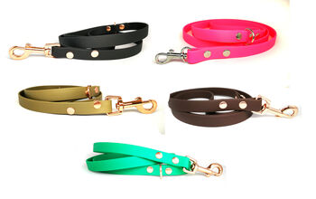 Biothane Dog Collar Or Lead Optional Fittings, 5 of 7