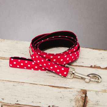 The York Red And White Spotted Dog Bow Tie And Lead Set, 3 of 6