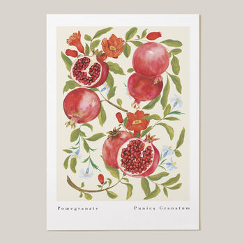 Pomegranate Art Print, 3 of 6