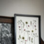 A3 Pressed Flower Art Botanical Wall Art In Black Frame, thumbnail 6 of 7