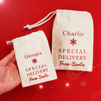 Special Delivery From Santa Gift Bags, 3 of 3