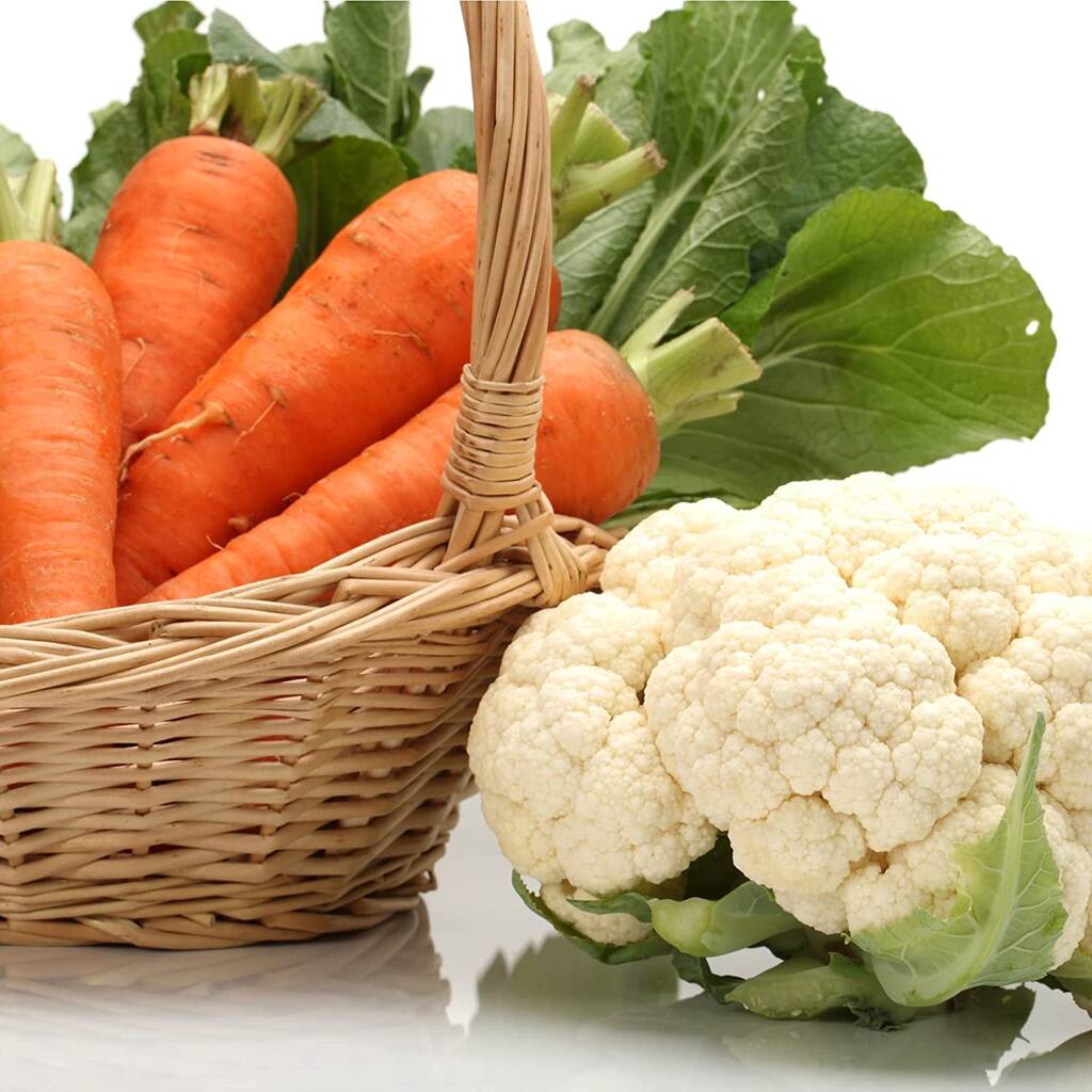 Vegetable Plants Multipack 36 X Plug Plant Pack By Acqua Garden