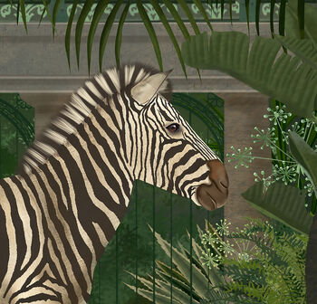 Zebra In Conservatory, Tropical Art Print, 7 of 8