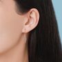 Sterling Silver Dragonfly Wing Drop Earrings, thumbnail 4 of 11