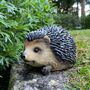 Mr Pricklepants Hedgehog Hoglet Garden Ornament, thumbnail 4 of 6