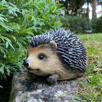 Mr Pricklepants Hedgehog Hoglet Garden Ornament, 4 of 6