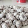 White Dried Baby Pumpkins For Autumn Home Decoration, thumbnail 3 of 4