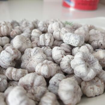 White Dried Baby Pumpkins For Autumn Home Decoration, 3 of 4