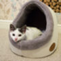 Cats Igloo Cave Bed With Toy Grey, thumbnail 1 of 3