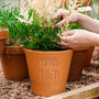 Blooming Couples Personalised Flower Pot, thumbnail 1 of 6