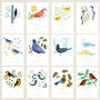 2026 Illustrated Birds Wall Calendar, thumbnail 5 of 6