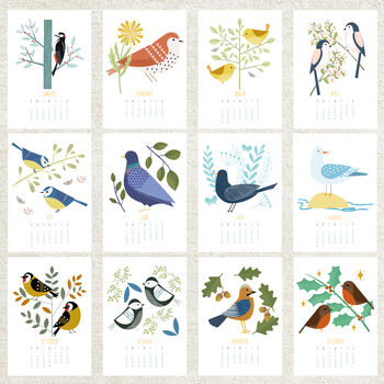 2026 Illustrated Birds Wall Calendar, 5 of 6