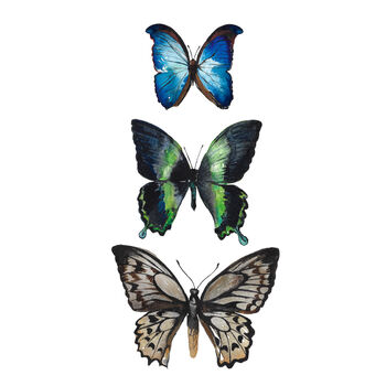 Butterflies Watercolour Fine Art Print, 2 of 4