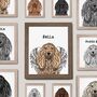 Customisable Afghan Hound Portrait Print For Dog Mum, thumbnail 3 of 10