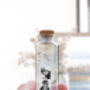 Personalised Dried Gypsophelia Bottle With Photos, thumbnail 2 of 2