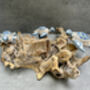 Set Of Three Swimming Turtles On Driftwood – Handmade Gift, thumbnail 6 of 11