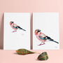 Inky Jay Bird Illustration Print, thumbnail 2 of 11