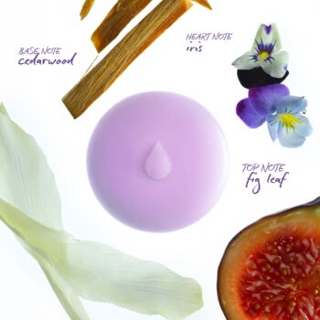 Fig Leaf Melts, 2 of 4