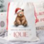 Bear Special Delivery Christmas Sack, thumbnail 2 of 2